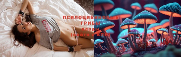СК Абдулино
