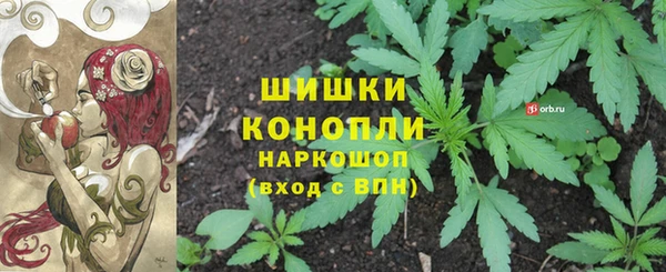 метадон Няндома