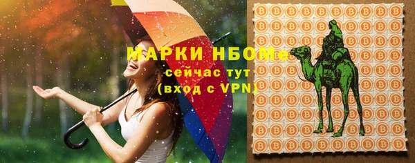 метадон Няндома