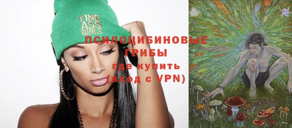 метадон Няндома