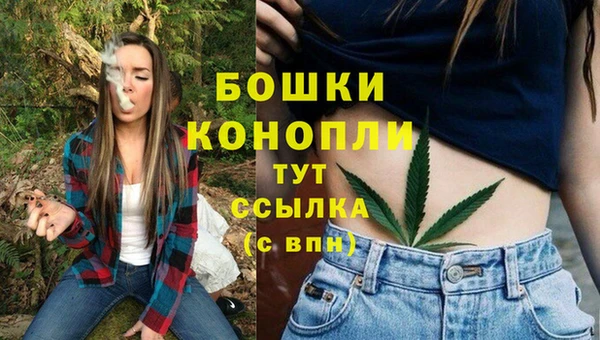 первитин Нягань